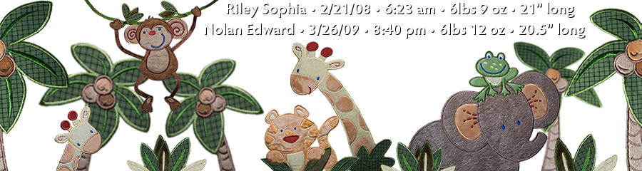 Riley Nolan header image